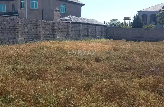 Torpaq sahəsi