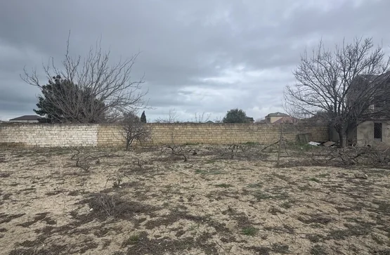 Torpaq sahəsi